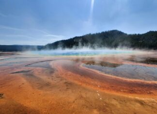 Physicochemical Properties: Unveiling Their Secrets and Importance