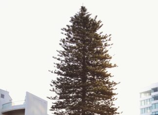 Synxis Property Hub: Unlock Hidden Potential in Real Estate