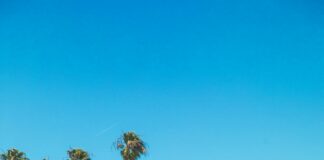 Palm Beach County Property Tax: Secrets to Saving Big on Bills