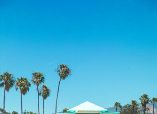 Palm Beach County Property Tax: Secrets to Saving Big on Bills