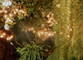 Beacon Properties: Discover Hidden Gems in Real Estate Today