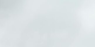 Land Surveyor Property Lines: How Accurate Measurements Ensure Peace