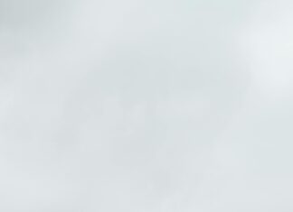 Land Surveyor Property Lines: How Accurate Measurements Ensure Peace