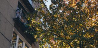 Park Ridge Apartments: Discover Your Dream Home Today!