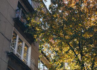 Park Ridge Apartments: Discover Your Dream Home Today!