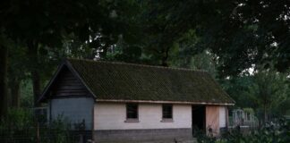 Kent County Michigan Property Lookup: Uncover Hidden Gems Today!