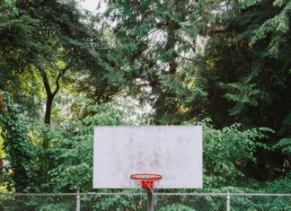 Seattle City Zip Code: Discover Hidden Gems in Every Area