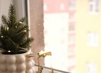 Evergreen Apartments: Discover Your Dream Home Today!