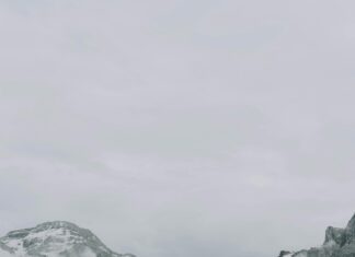 Meadow Ridge Apartments: Discover Your Perfect Home Oasis Today!