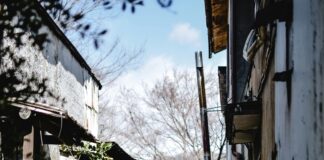 Morrison Springs: Discover The Hidden Gem of Natural Beauty