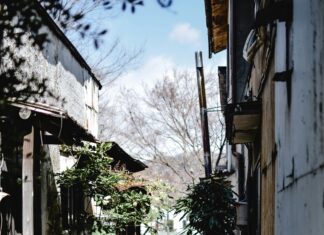 Morrison Springs: Discover The Hidden Gem of Natural Beauty