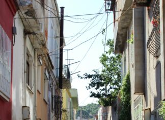 868 Area Code: Discover Hidden Gems and Local Secrets Today!