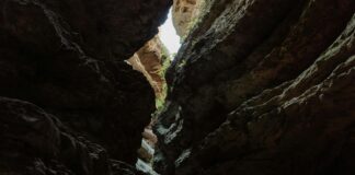 Stone Canyon Apartments: Discover Your Dream Home Today!